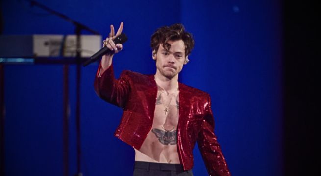 Condenan a prisión a mujer que acosó a Harry Styles con cartas de matrimonio