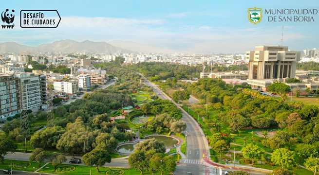 Mira cómo votar desde hoy por San Borja en el 'Desafío de Ciudades WWF 2024'