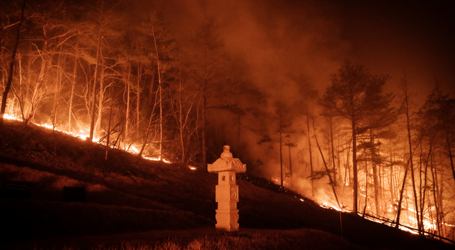 Corea del Sur: al menos 24 muertos por graves incendios forestales