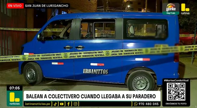 Chofer de colectivo 