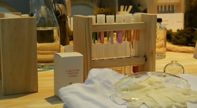 ¿Qué aroma eres? Descubre tu personalidad según tu familia olfativa