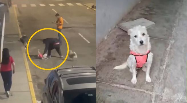 Hombre asesina a perrita cerca del centro histórico de Trujillo