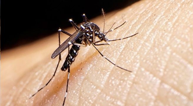 ¿Por qué los mosquitos pican más a unas personas que a otras?